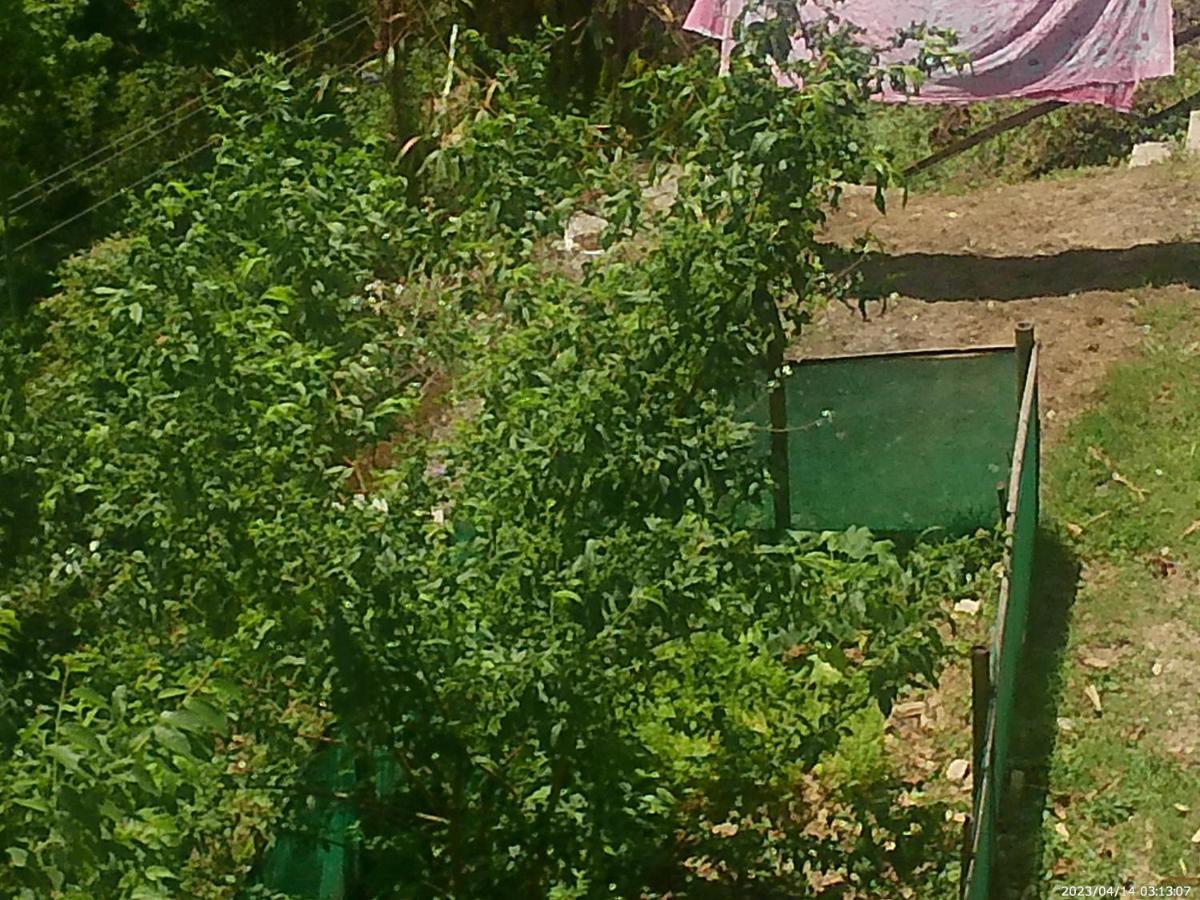 Mountain View Homestay Kalimpong Extérieur photo