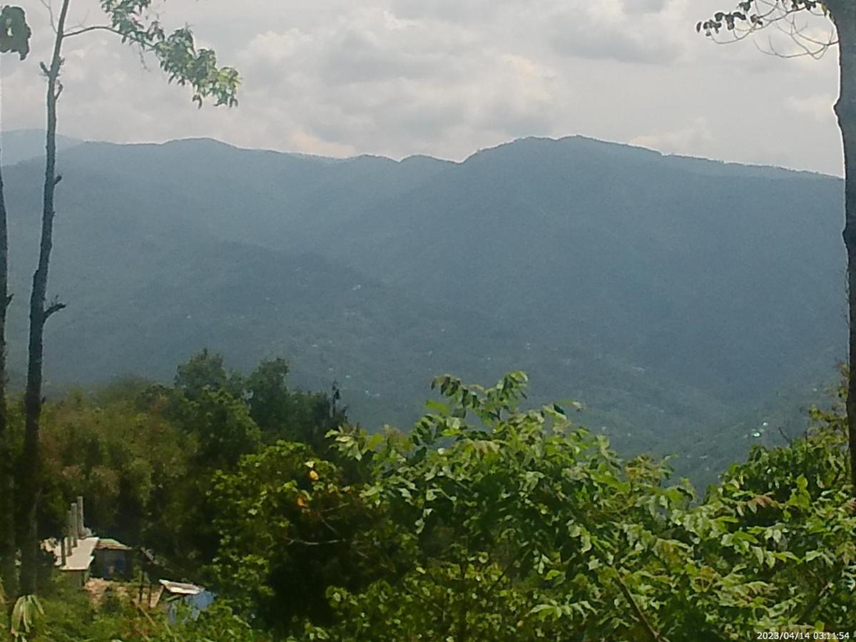 Mountain View Homestay Kalimpong Extérieur photo